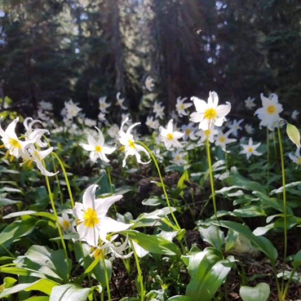 Meet your Posher, Marilyn